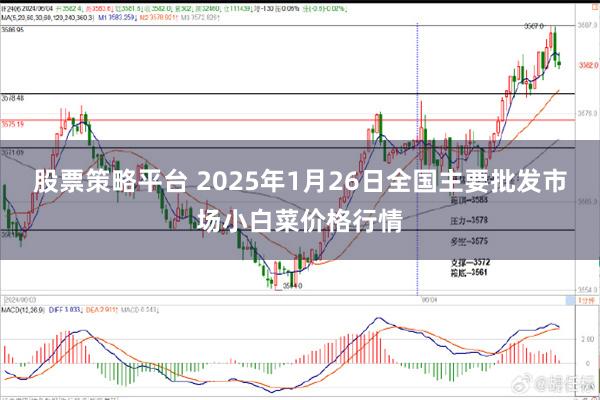 股票策略平台 2025年1月26日全国主要批发市场小白菜价格行情
