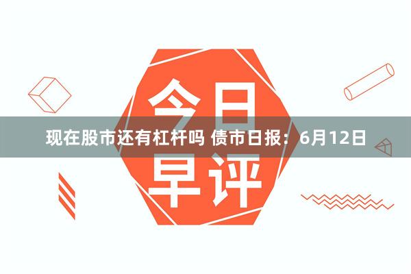现在股市还有杠杆吗 债市日报：6月12日