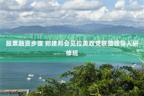 股票融资步骤 郑建邦会见拉美政党联盟领导人研修班