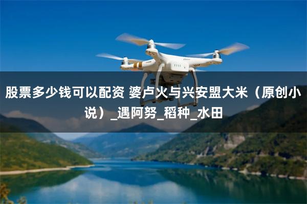 股票多少钱可以配资 婆卢火与兴安盟大米（原创小说）_遇阿努_稻种_水田