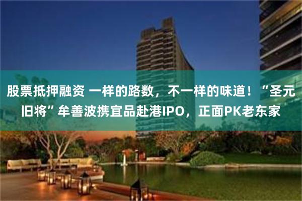 股票抵押融资 一样的路数，不一样的味道！“圣元旧将”牟善波携宜品赴港IPO，正面PK老东家